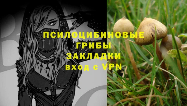 дмт Медвежьегорск