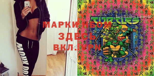 дмт Медвежьегорск