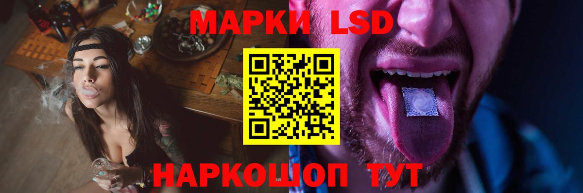 Псилоцибиновые грибы Алатырь