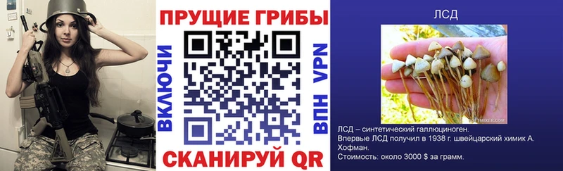где купить наркоту  Алатырь  Галлюциногенные грибы GOLDEN TEACHER 