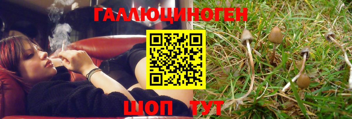 Галлюциногенные грибы Magic Shrooms  Вход с VPN  Псилоцибиновые грибы Psilocybine cubensis  магазин продажи наркотиков  Алатырь 
