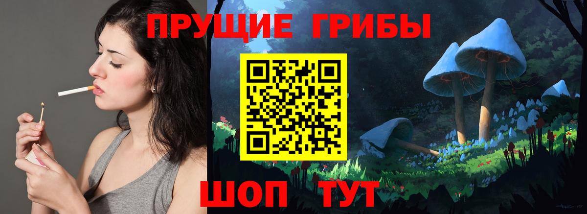 Галлюциногенные грибы Magic Shrooms  Вход с VPN  Алатырь 