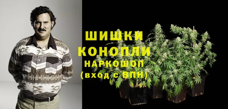 Марихуана THC 21%  купить наркотики цена  Алатырь 